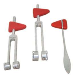 Baseline Taylor Percussion Hammer with 256 cps Tuning Fork