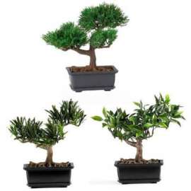Nearly Natural 8.5'' Bonsai Silk Plant Collection (Set of 3)