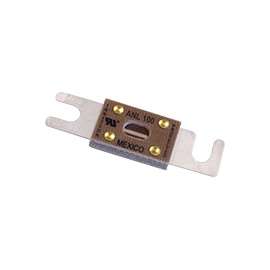 FUSE ANL 100A