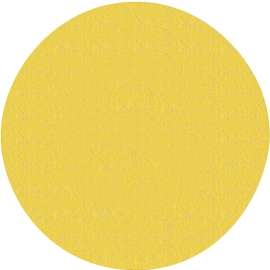 NORTON 02465 Sanding Disc, 9 in Dia, Coated, P100 Grit, Medium, Aluminum Oxide Abrasive