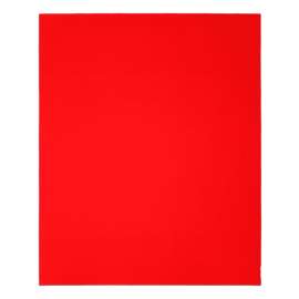 Diablo DCS911060S20G Sanding Sheet, 9 in W, 11 in L, 60 Grit, Coarse, Aluminum Oxide Abrasive, Paper Backing