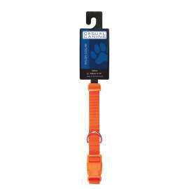 CASUAL CANINE ZM2391 10 69 Dog Collar, Buckle Link, 10 to 16 in L Collar, 5/8 in W Collar, Nylon, Orange