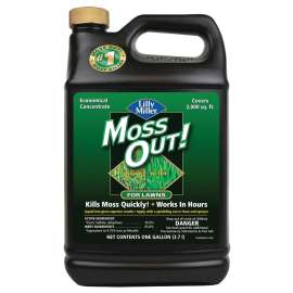 Lilly Miller 100099156 Moss and Algae Killer, Liquid, 1 gal