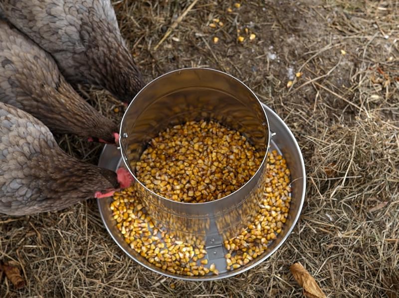 Smart No-Waste Feeding System