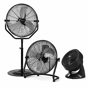 Fans